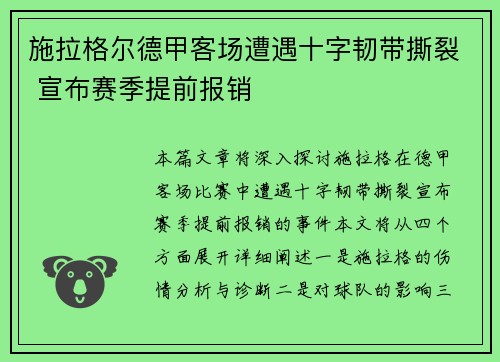 施拉格尔德甲客场遭遇十字韧带撕裂 宣布赛季提前报销
