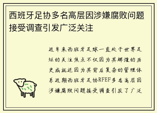 西班牙足协多名高层因涉嫌腐败问题接受调查引发广泛关注