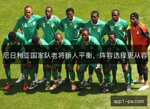 尼日利亚国家队老将新人平衡，阵容选择更从容